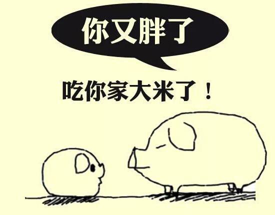 脂老虎: 你以为看起来瘦的人真的不胖吗?