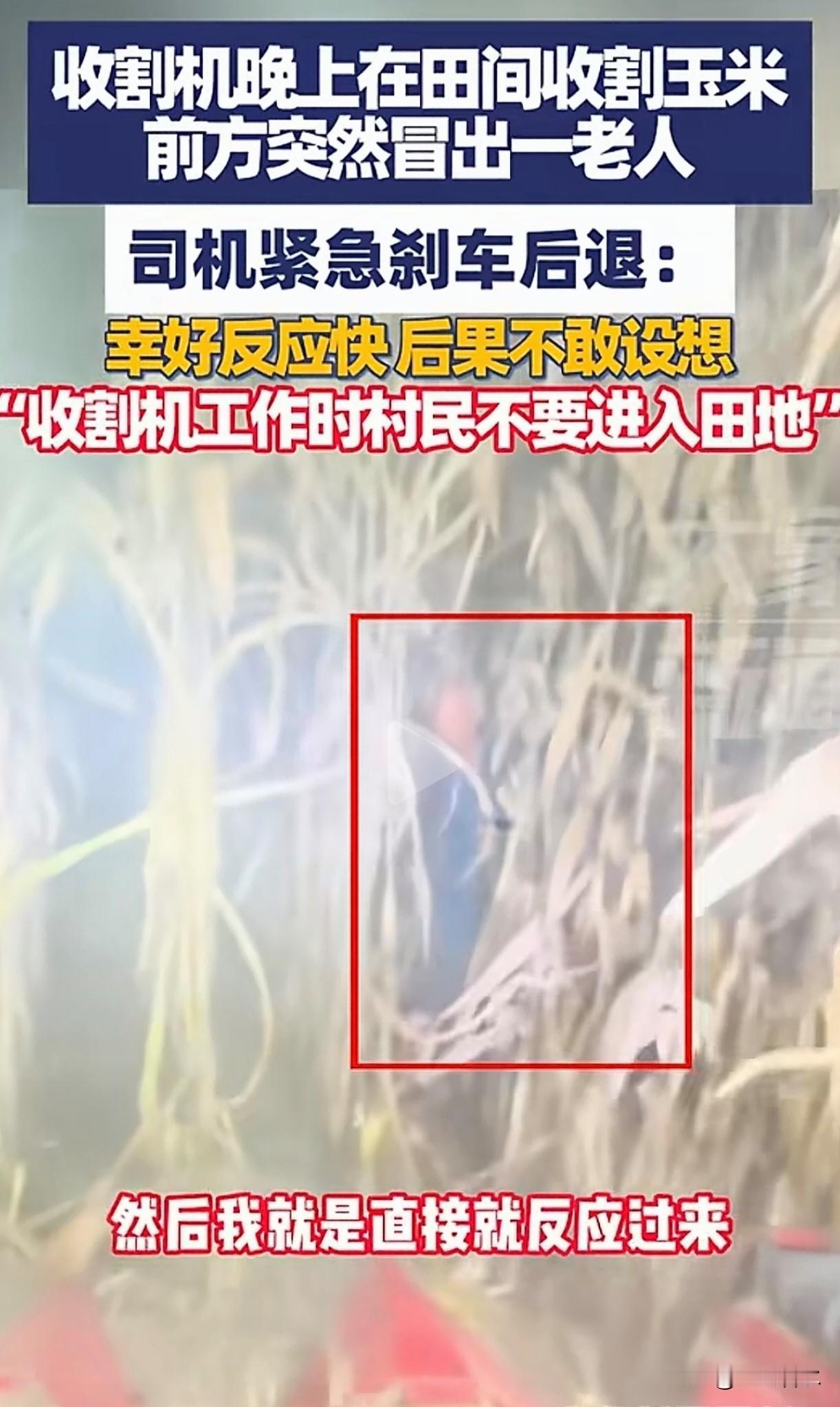 大晚上的，收割机正在田边收割玉米谁知前方突然冒出一老人，司机赶紧刹车后退，吓出