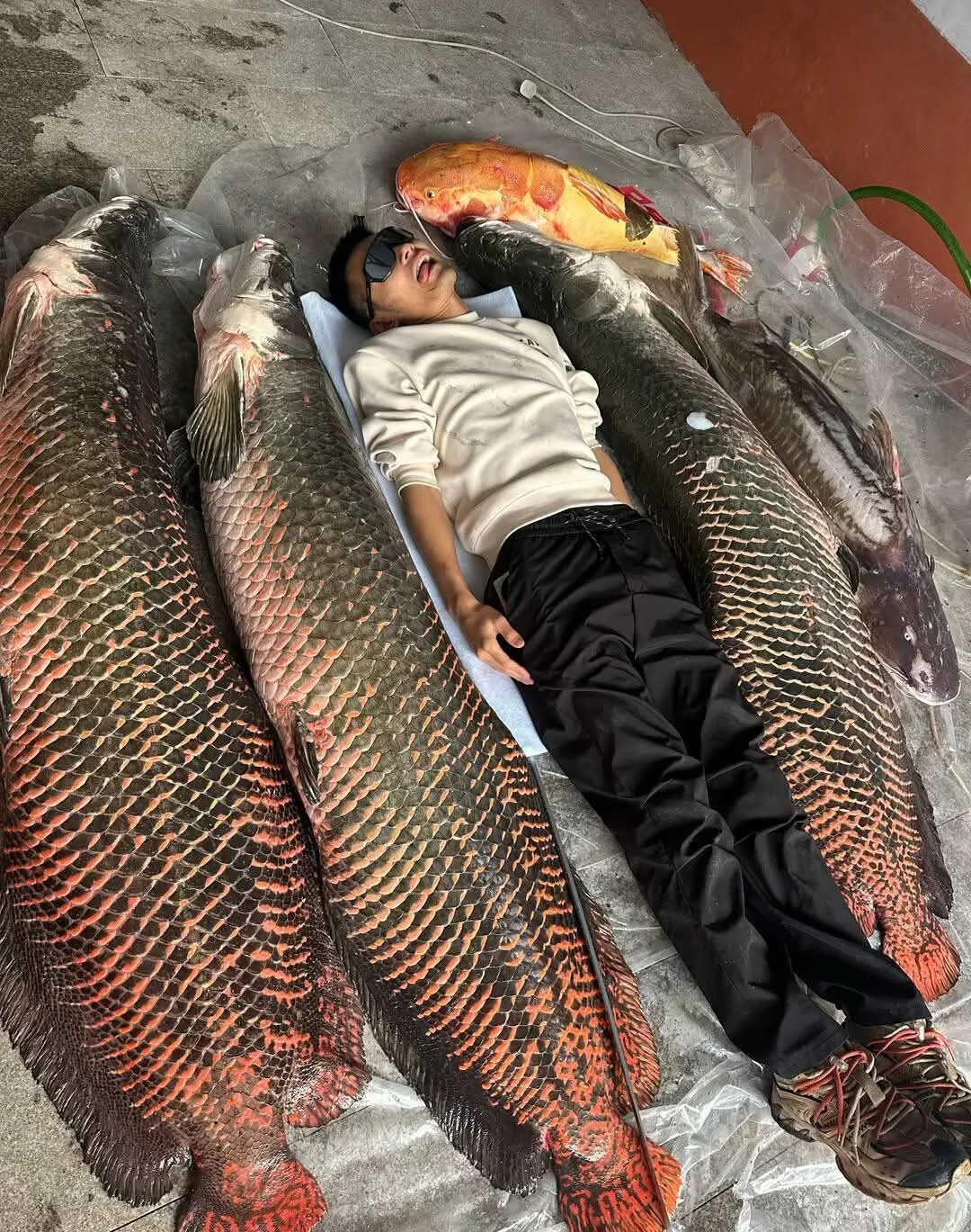 这钓鱼佬可以睡一个季度