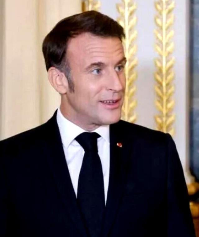 租给法国十多年的熊猫，生病了，我们二话不说，接回来了，前脚熊猫刚到成都，后脚法国