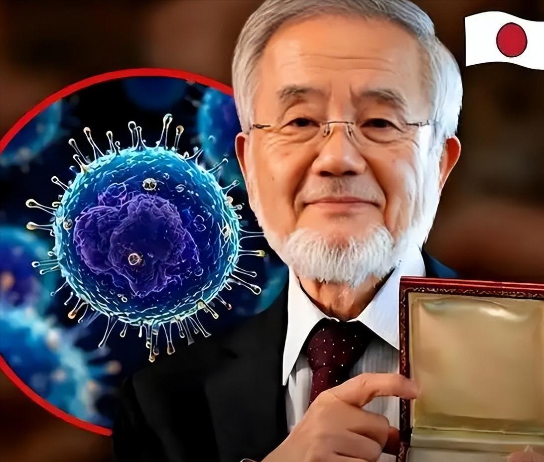 日本生物学家大隅良典拿了诺贝尔奖。因为他发现，人饿肚子的时候，会把受损的细胞“