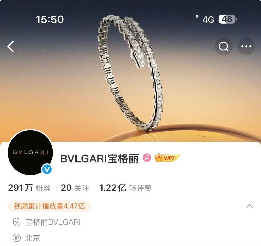 宝格丽关注赵露思工作室了诶