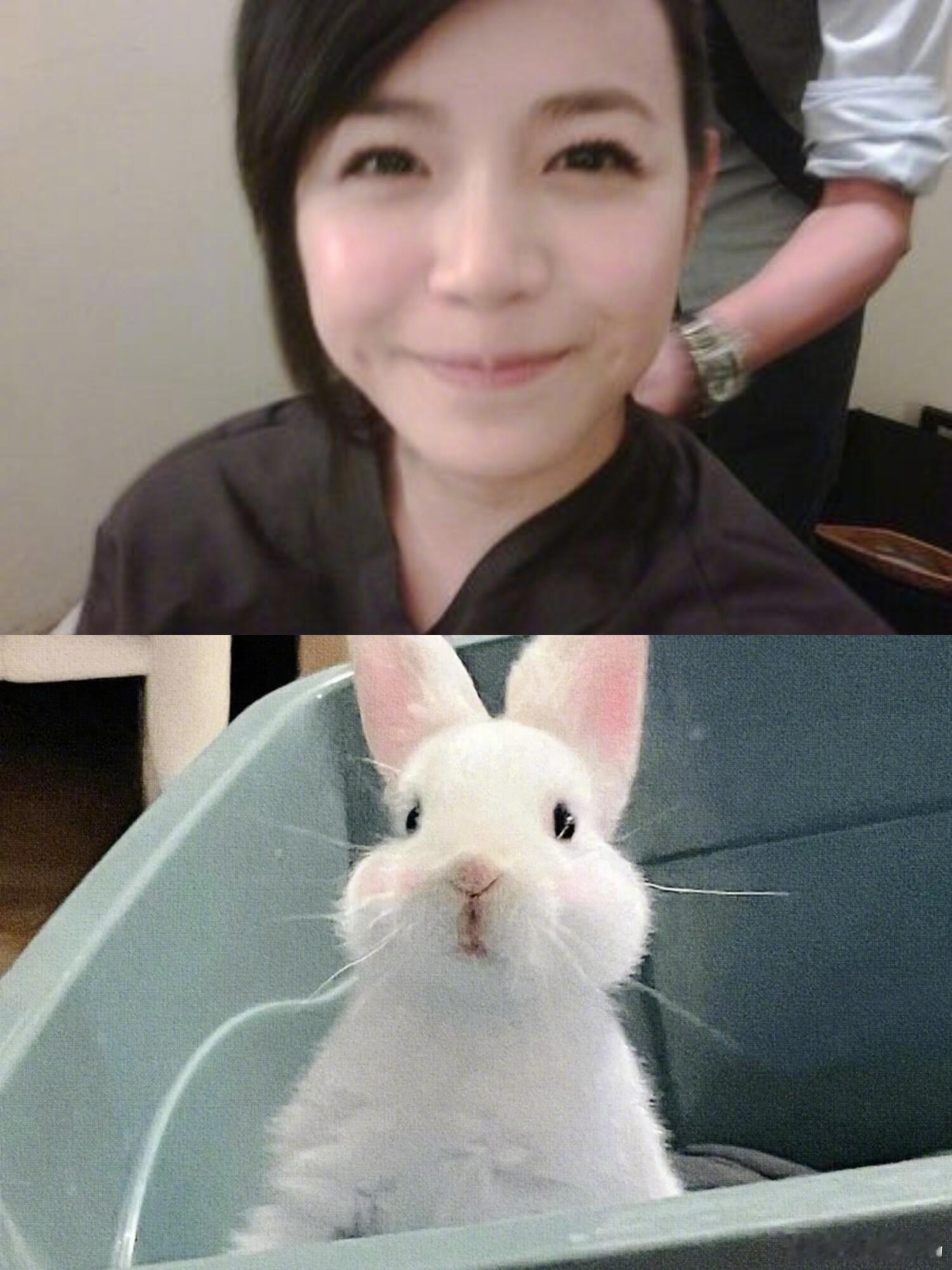 只用0秒就接受了陈妍希兔塑🐰