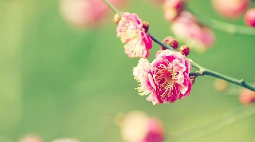 谈恋爱最怕的就是猜心，男人嘴上甜言蜜语，行动上却模棱两可。结果呢？有些人千里迢迢