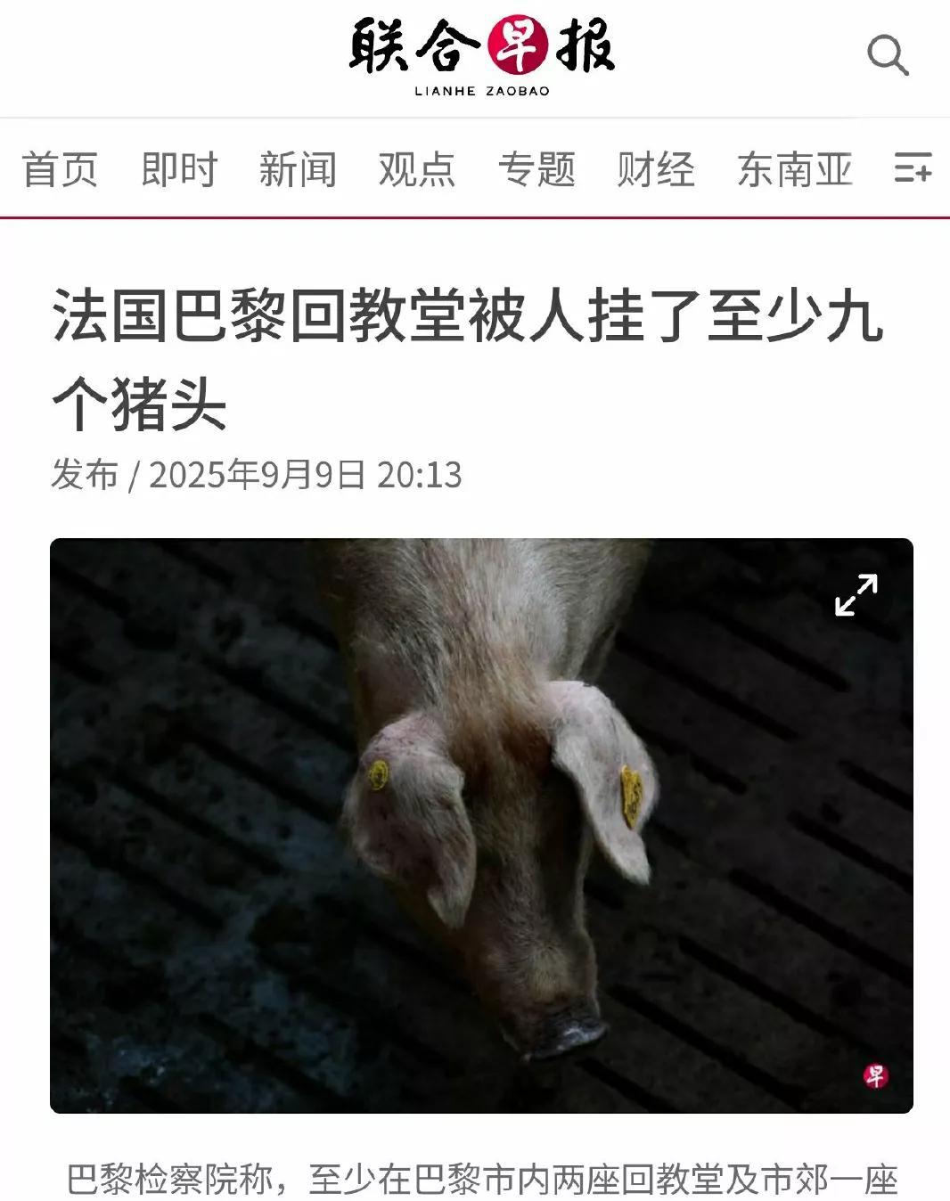 伤害性不大，侮辱性极强。法国清真寺被人挂猪头。太过份了！