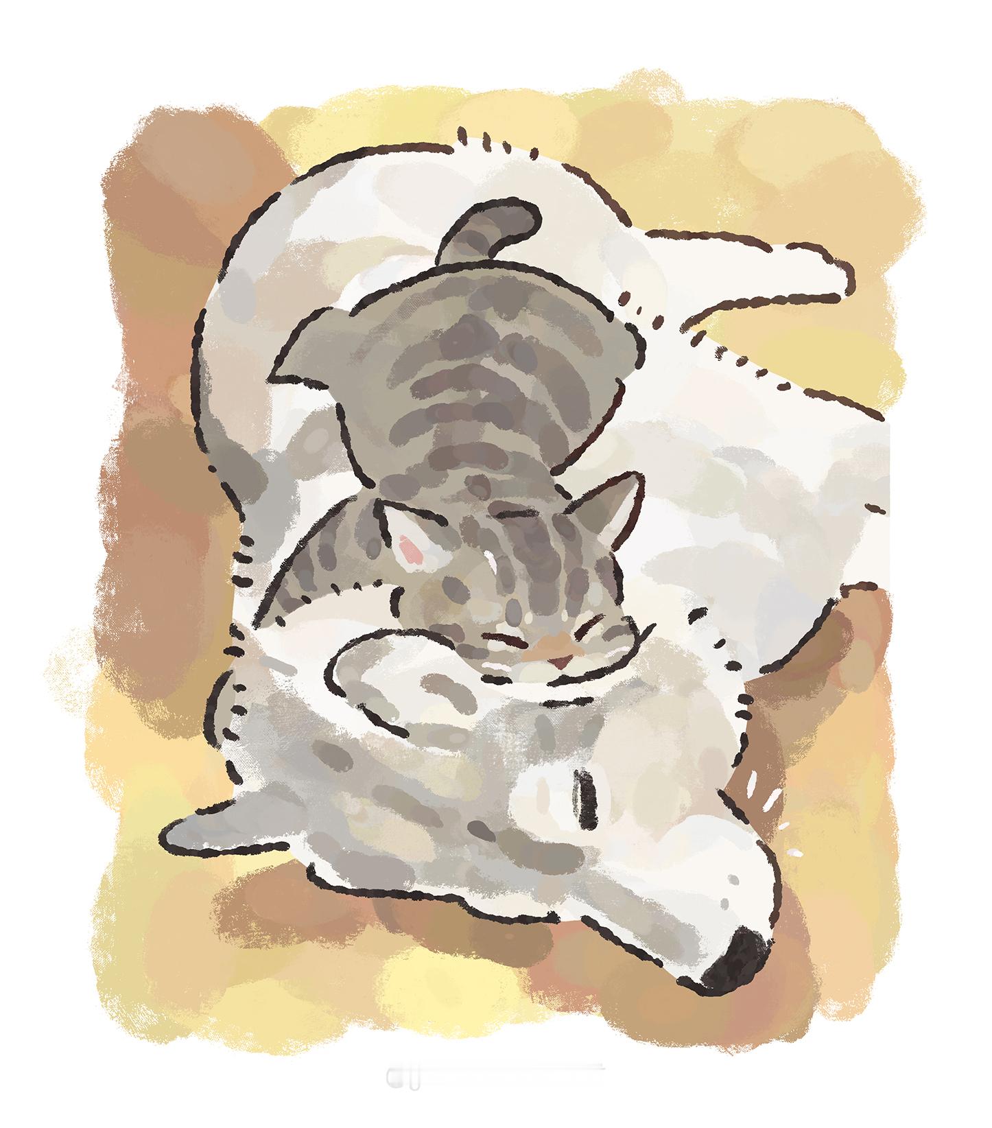 bygentleeeeeeecat​​​