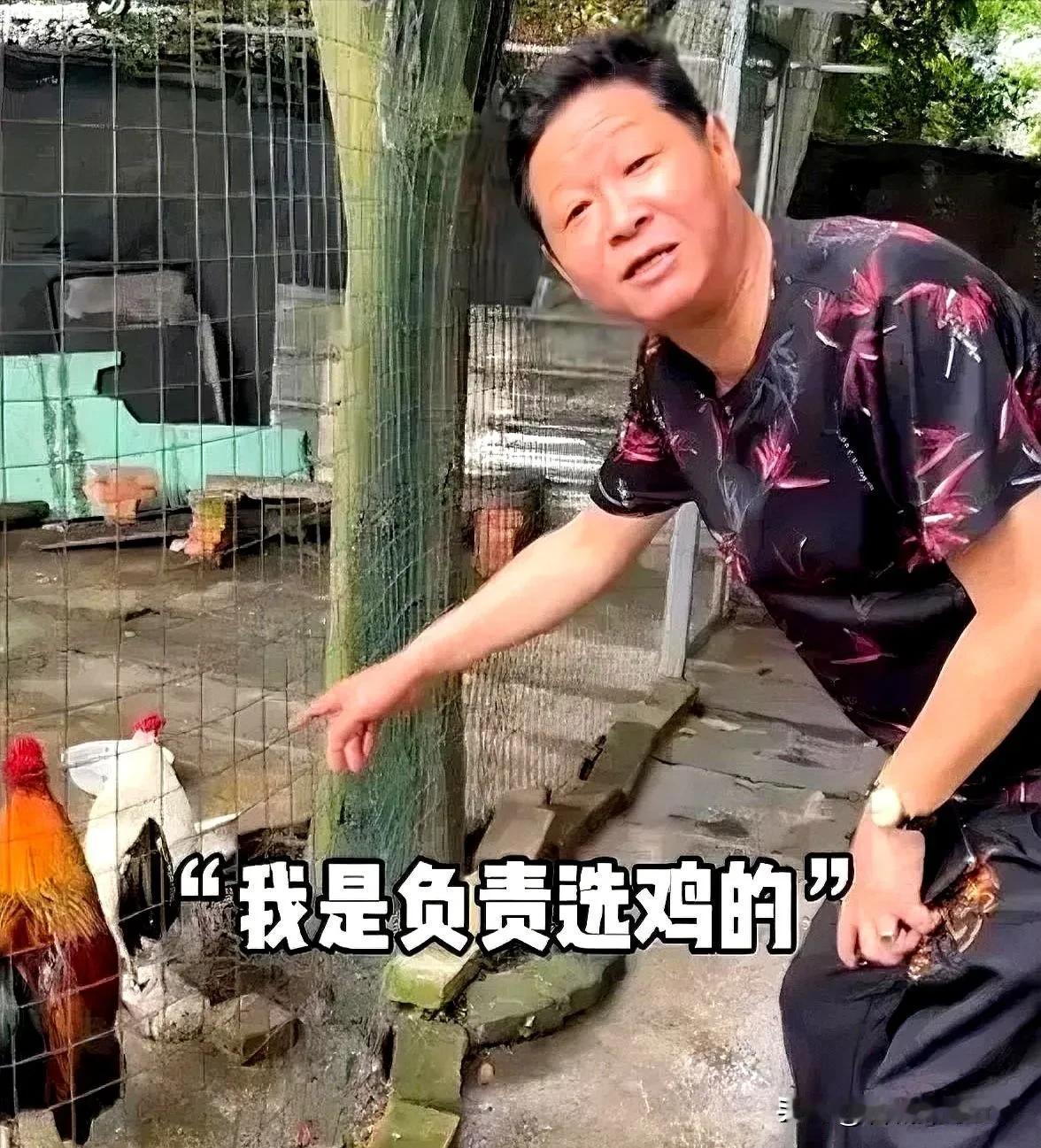 一次，主持人问赵亮:“你以前跟张国立演戏的，现在怎么去养鸡了？”赵亮说:“我一只