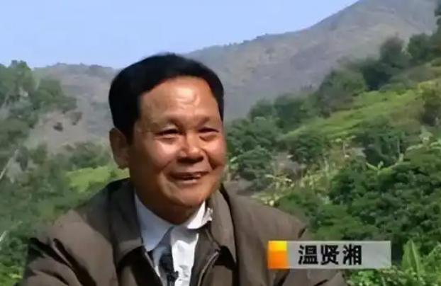 广东一位68岁老人，借了1200万种下1000亩橄榄树，为此妻离子散。所有人都说