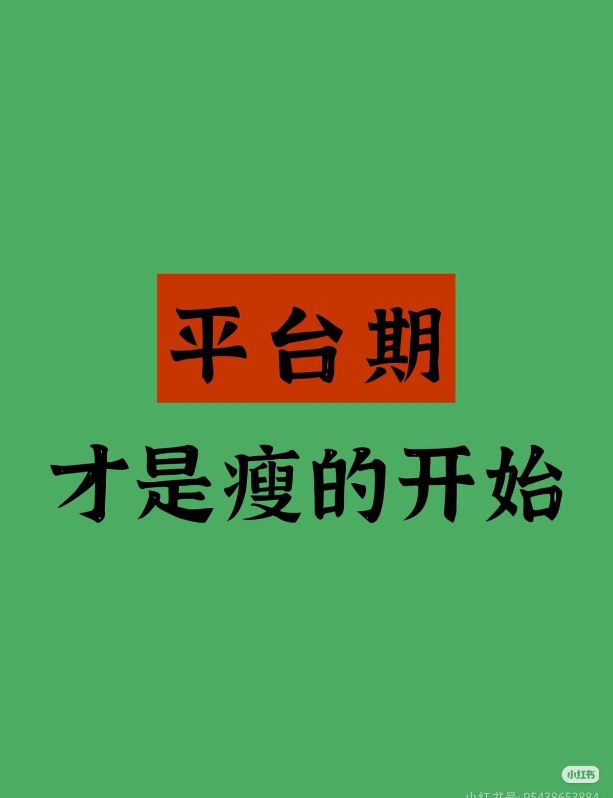 平台期不是卡住了，是身体在偷偷攒钱。你越饿，它越省。肌肉不放，脂肪不烧，连水
