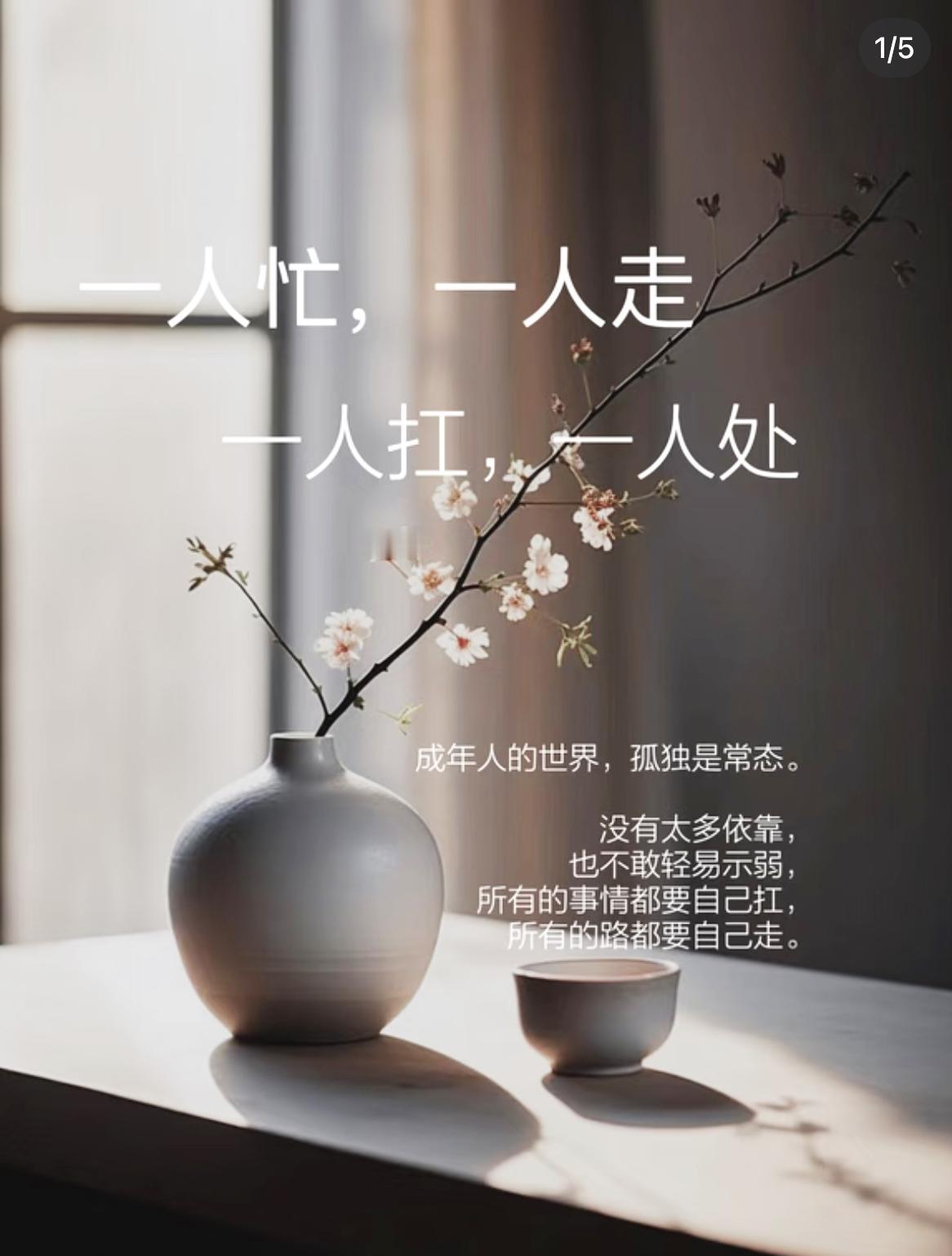 任何关系，走到最后都是孤独。父母会走，伴侣会走，孩子会飞。人这一辈子，本质