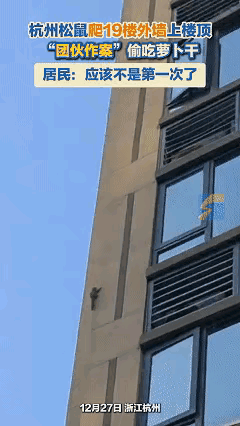 这下科学也解释不清了！近日浙江杭州，女子下楼出门，发现有个黑影正在墙壁上爬行，拿