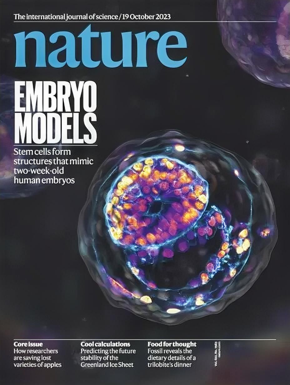 中东在打军事战争，我们在打经济战争和学术战争。中科院从3月1日起，向美国30