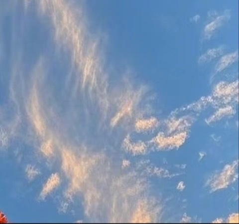 只要心向阳，不管黑暗，走到哪都光明。只要心胸开阔，不管世界再小，走哪都有你一片天