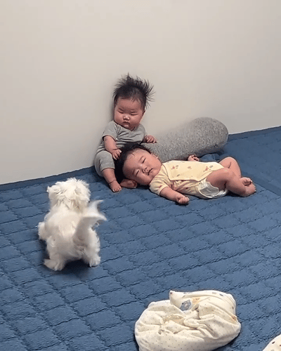 潦草小狗和他的潦草小孩哥我的幽默灵感片场​​​