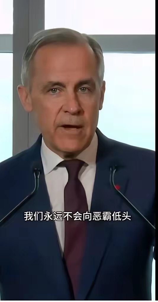 有史以来加拿大官方第一次用“恶霸”称呼美国。并号召加拿大人团结起来，绝对不向美国