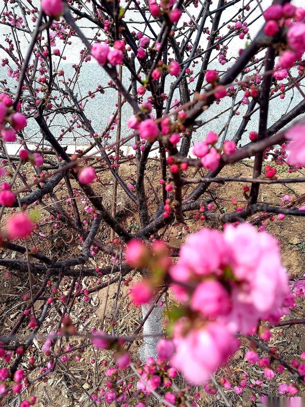 我妈递给我一个剥好的鸡蛋，紧接着，又递过来第二个。我刚想说一个就够了，她头都没