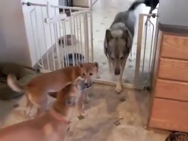 12199165415561140854.jpeg?id=0