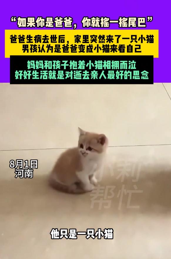 河南一8岁儿童睡觉做梦，梦见去世两年的爸爸变成了一只猫！结果第二天，家里居然真来