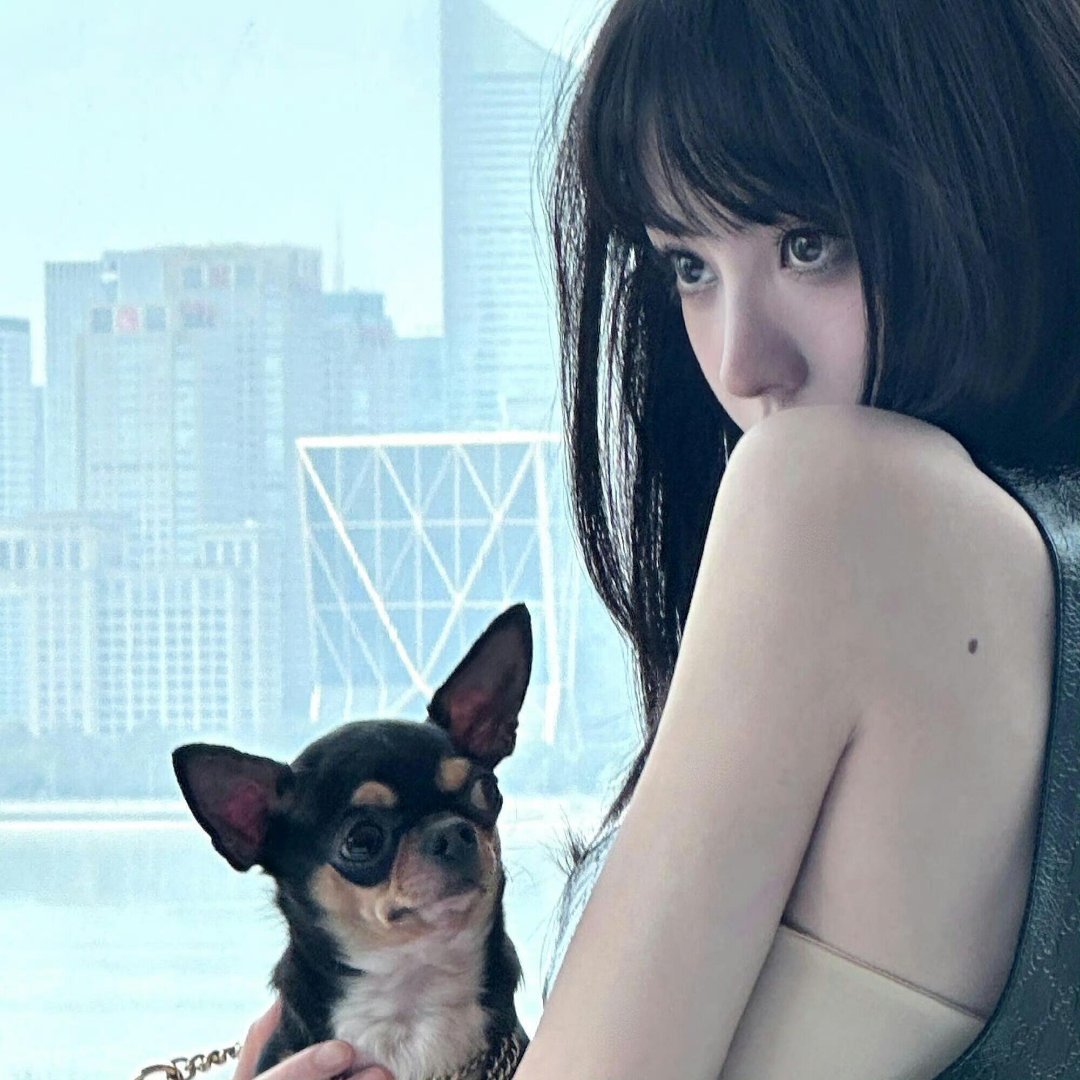 头像分享｜田曦薇头像壁纸Wechat｜自由感高级女头｜气质干净𝐢𝐧𝐬女头