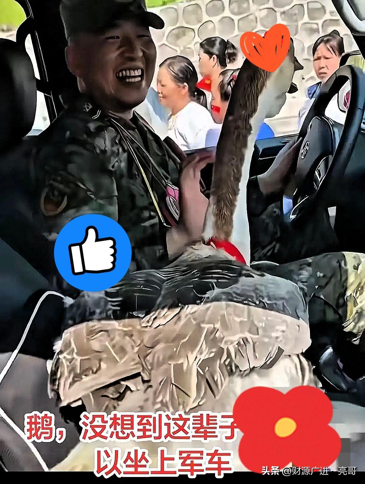 洪水刚退贵港街头！阿婆硬塞肥鹅送别兵哥？洪水刚退的贵港，风里还裹着淡淡的泥腥