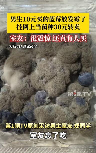 “简直是变废为宝！”湖北武汉，一大四男生花10元买了一盒蓝莓，结果买回来就忘了，
