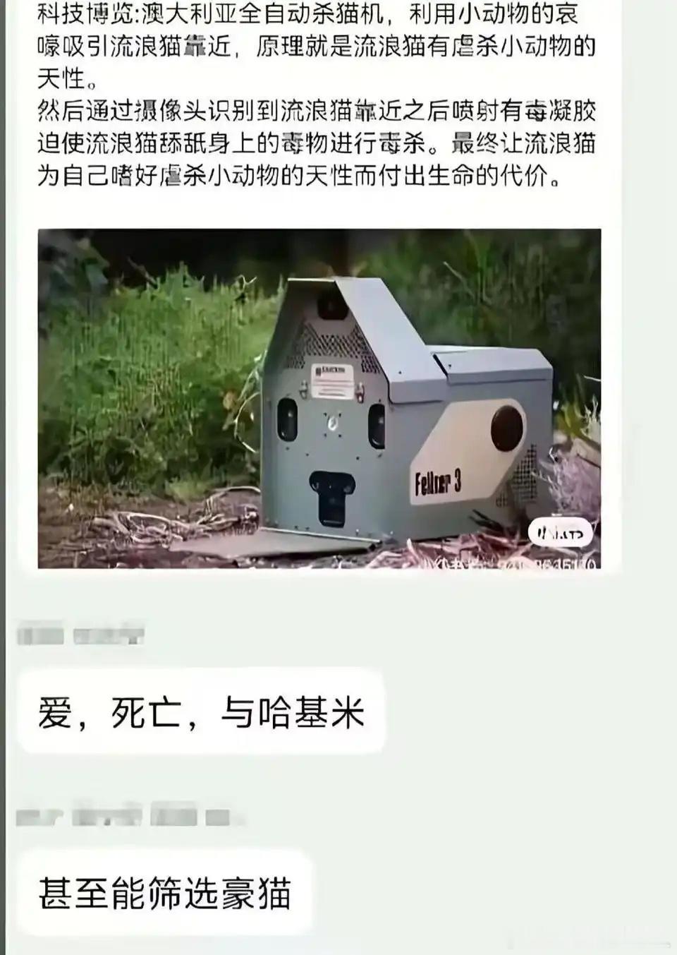 我记得澳大利亚的野猫因为这片地没啥天敌已经野化到国内难以想象了……