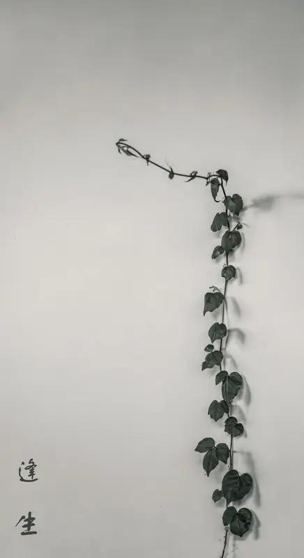 生命的本质，真是个让人着迷又挠头的问题。从科学角度看，生命是抵抗熵增、能自我复制