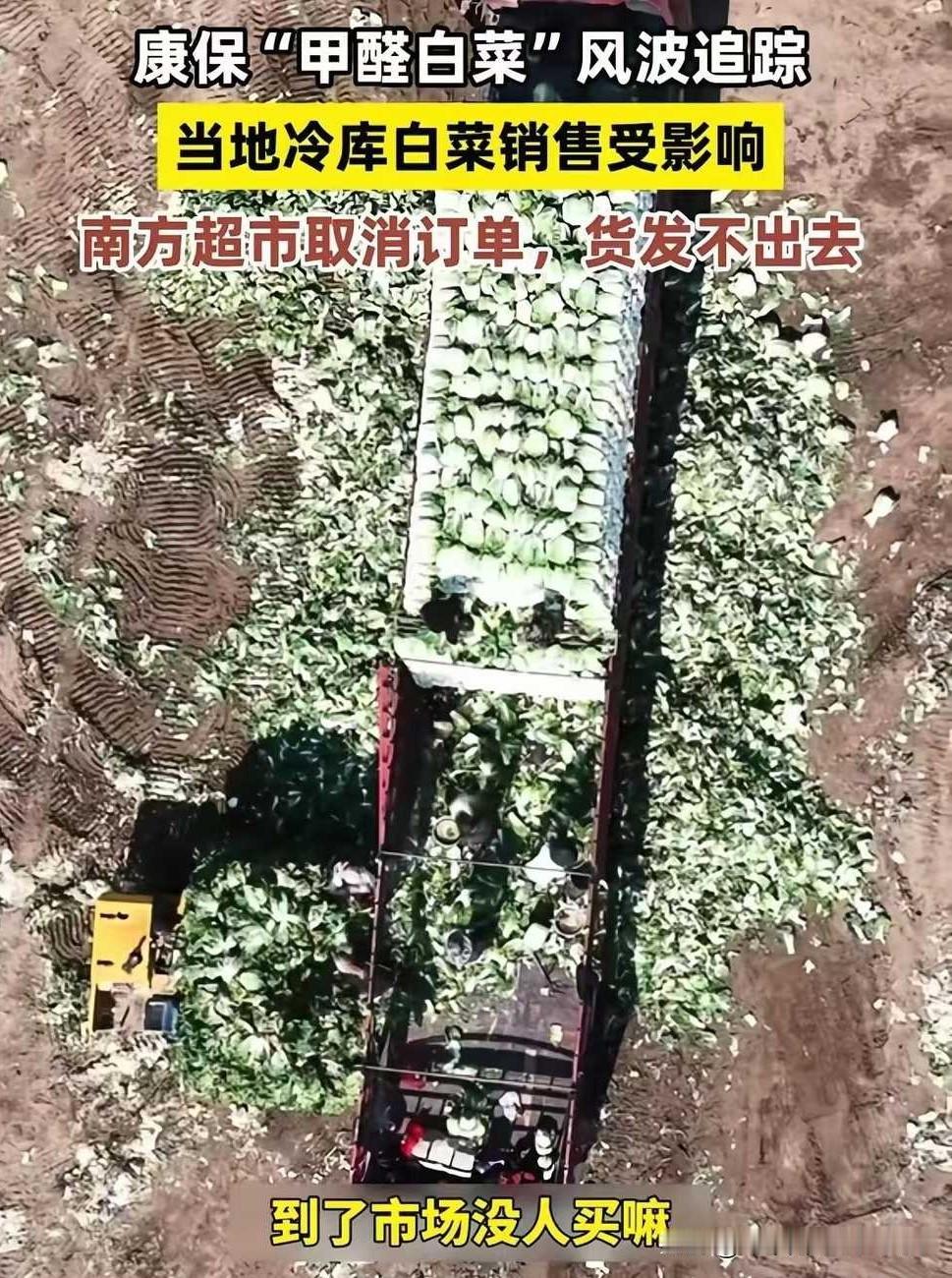 报应来了，甲醛的白菜，现在已经发不出货了以前每天基本上一天1500包白菜。现在