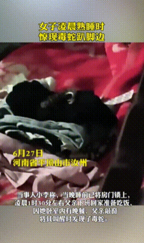 “上辈子积德了！”河南平顶山，一女子半夜被父亲敲窗叫醒，等起身下床时，竟看到1米