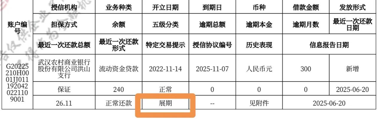 工程行业，贷销比超过70%，征信有展期，基本废了！银行融资基本不可能！武汉身边