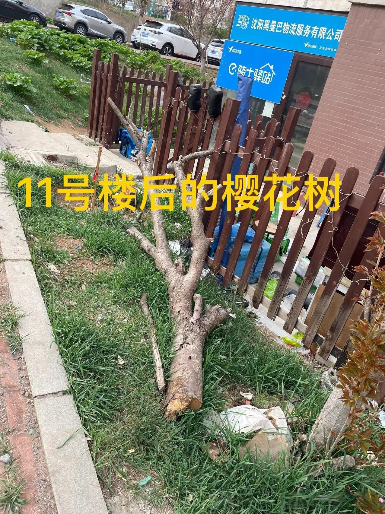 我被起诉了，因为欠缴物业费。上午，大连市甘井子法院的法官给我打电话，跟我说我拖