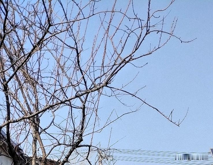 分享我这周有趣的事：给大家讲一个搞笑的事，欢乐欢乐！我有个同事，平常不做饭，如