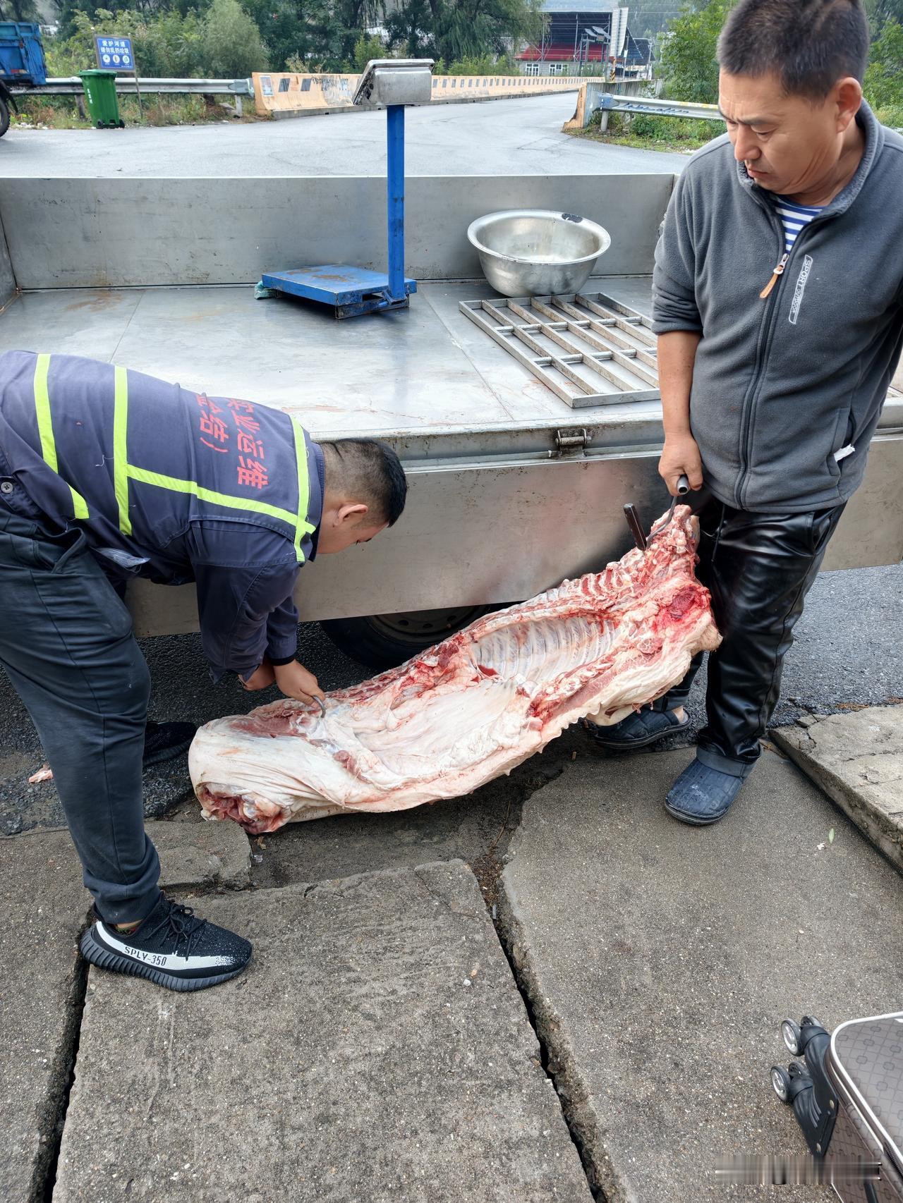 偶遇半扇农家土猪肉，过节吃肉，还是农家猪最香…早上路过肉铺，刚好赶上新到的