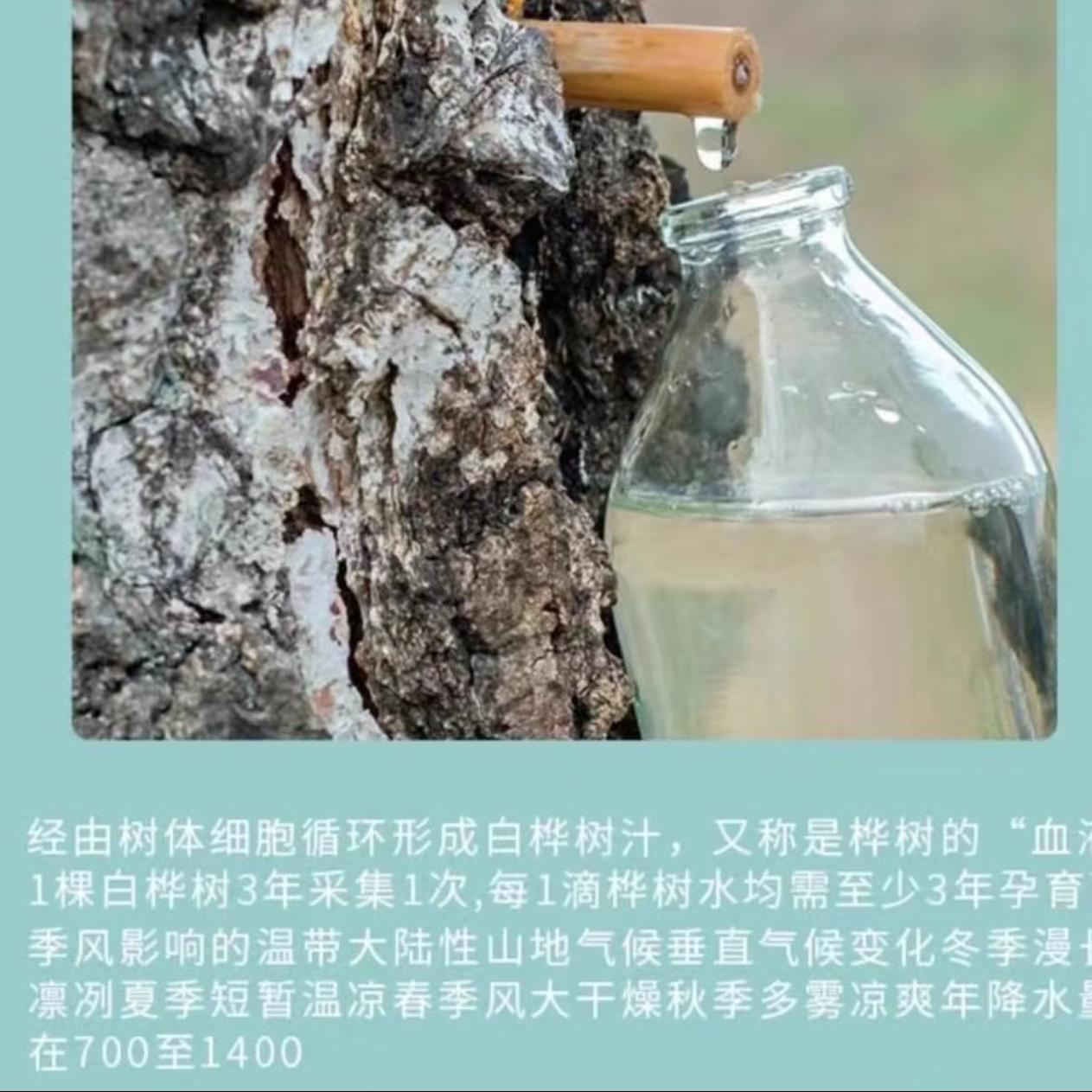 五月初，有七个人趁着深夜，偷偷摸进了大兴安岭深处。一行人带着电钻、导流管这