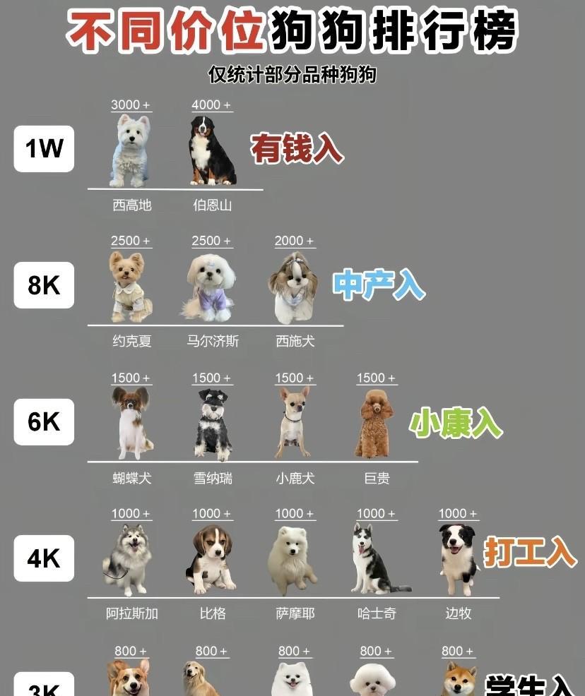 就是有人很喜欢给各种事物搞个名次出来，甚至觉得养狗都可以凸显身份[笑着哭]