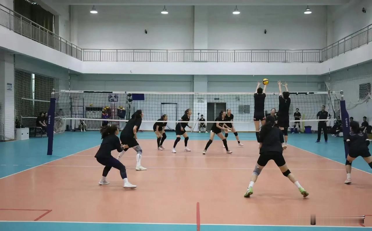 赵勇给予天津女排卫冕全锦赛冠军的最佳良机。全国女排锦标赛将于8月10日在广东举行