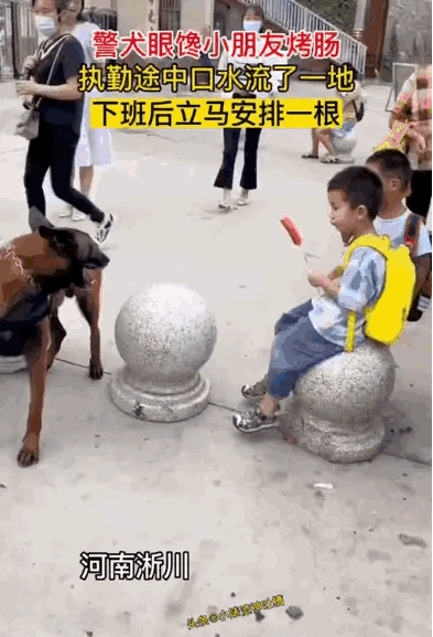 有一说一，他们不怕汪星人咬他们吗？