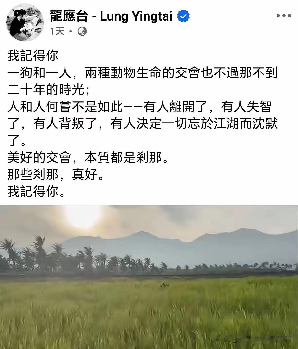 我记得你，龙应台，一人一电脑，去沉下心交会剩下的时光，不要再出现媒体面前