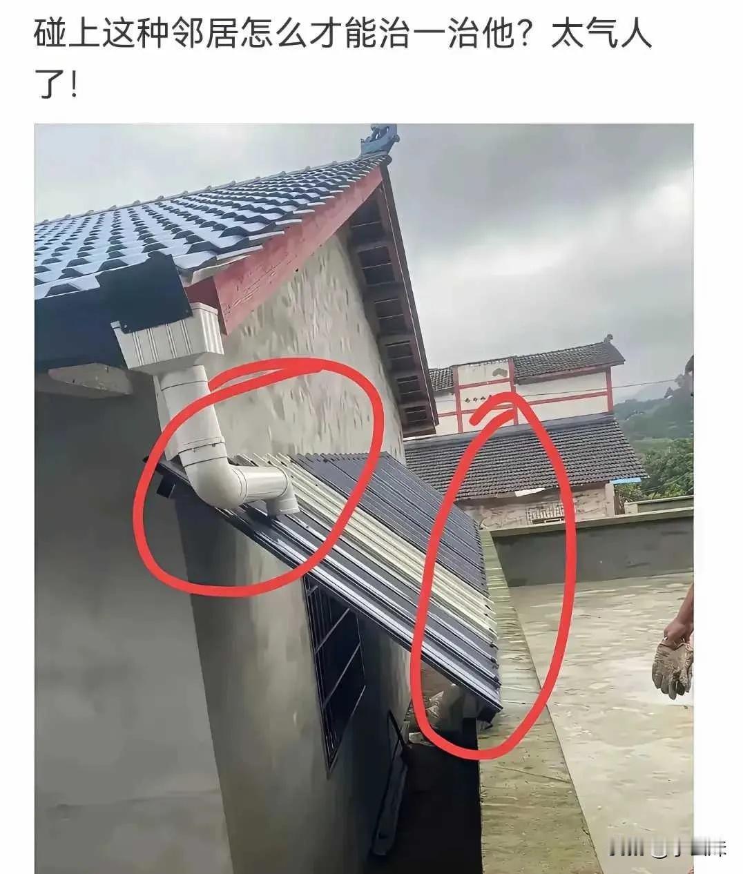 邻居，这过分了吧