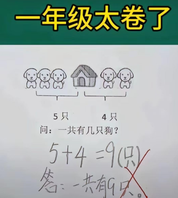 这特码到底是几只啊