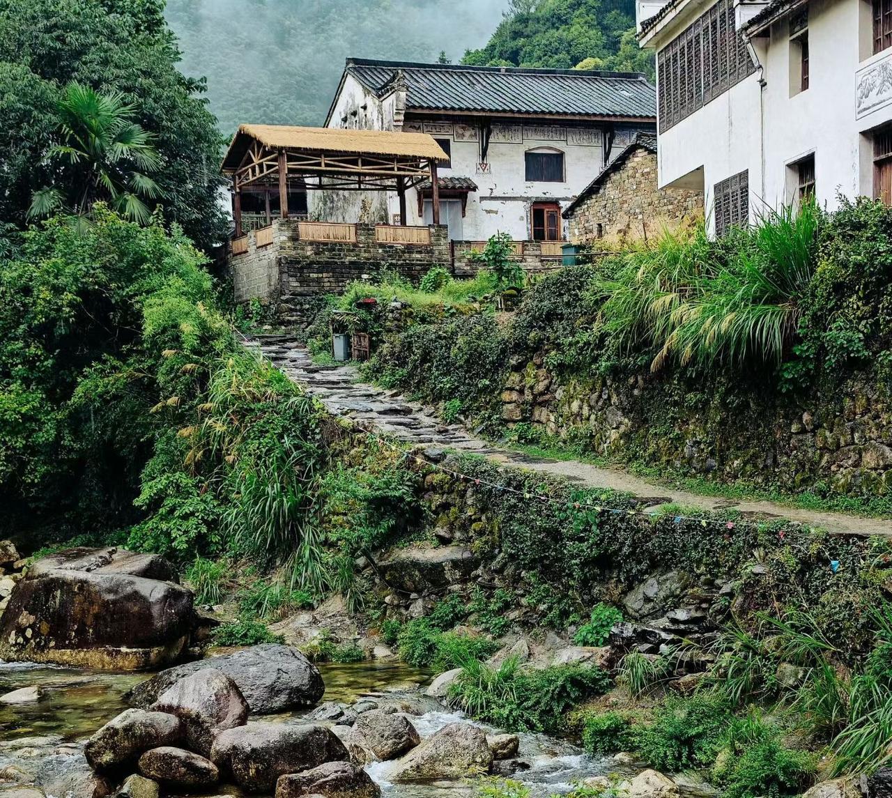 自驾到仙居白石岭，停村口老樟树下，沿青石板路往上走。路过夯土老屋，阿婆会递杯山泉