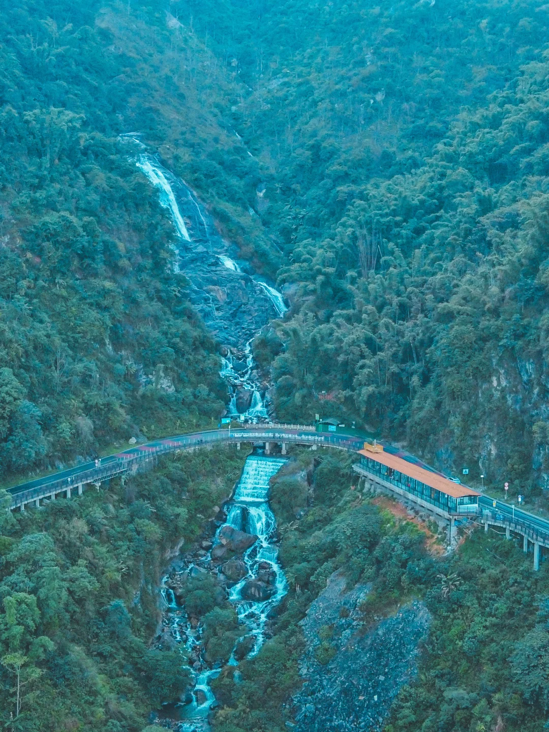 嘎洒❗️哀牢山下的神仙小镇，值得收藏👍