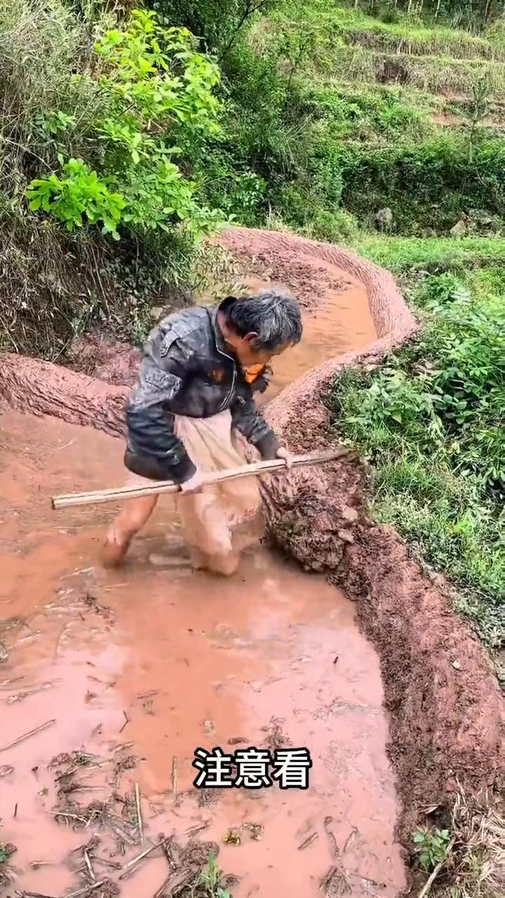 粒粒皆辛苦。注意看，这就是大山里的农民耕种时的场景。山里的路不好走，现代机器下