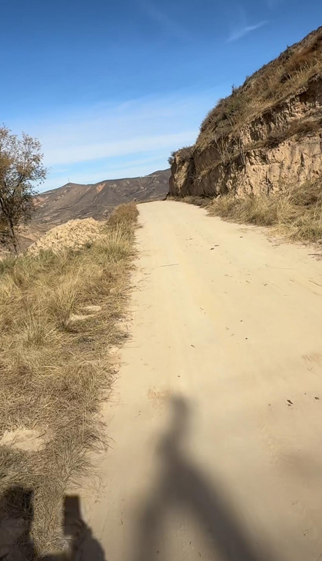 甘肃看着是真的荒凉！其实山上是有树的，只是树比较稀少，远远看去就是孤零零的几