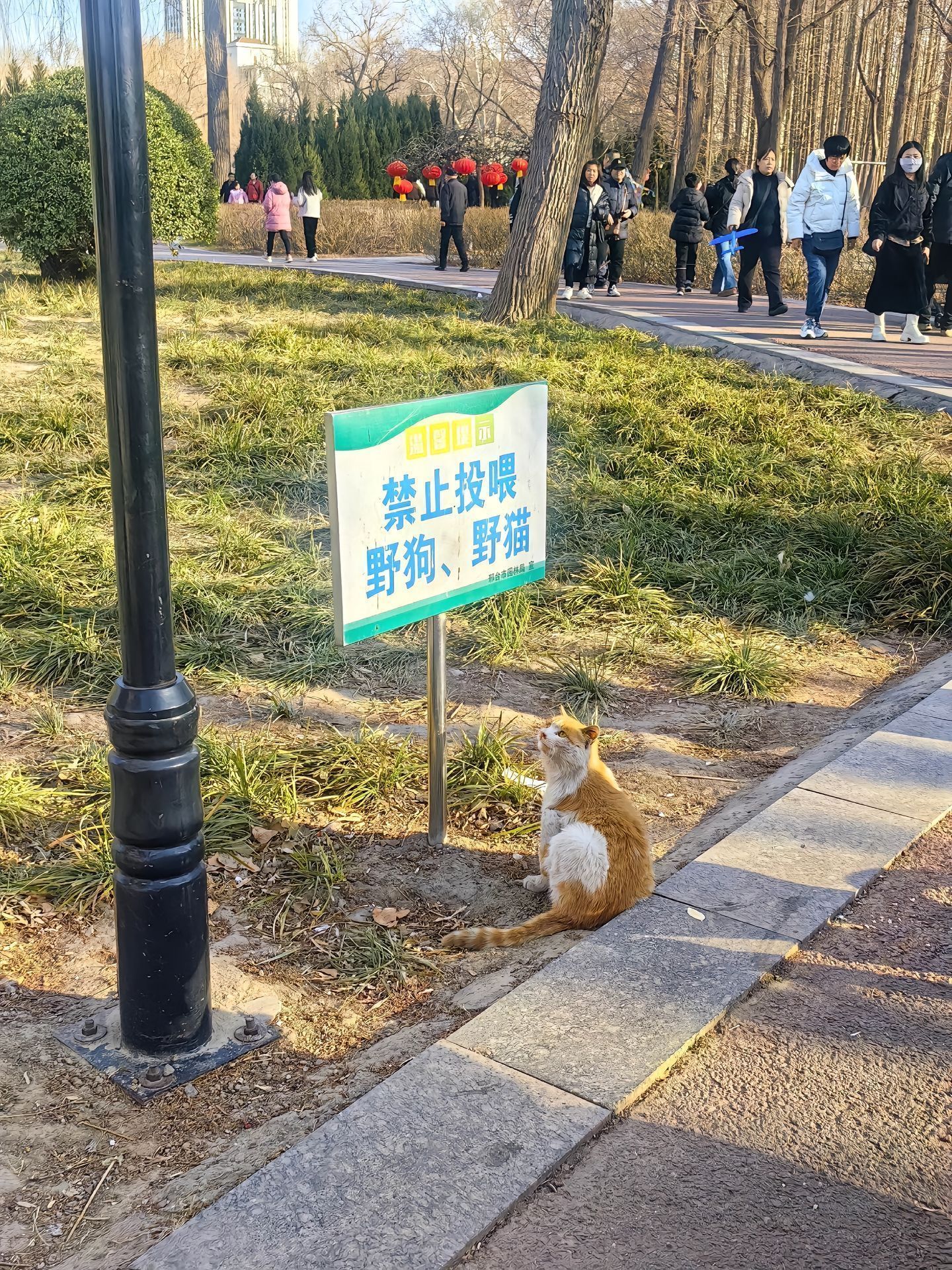 猫咪：群众里有坏人🥹​​​