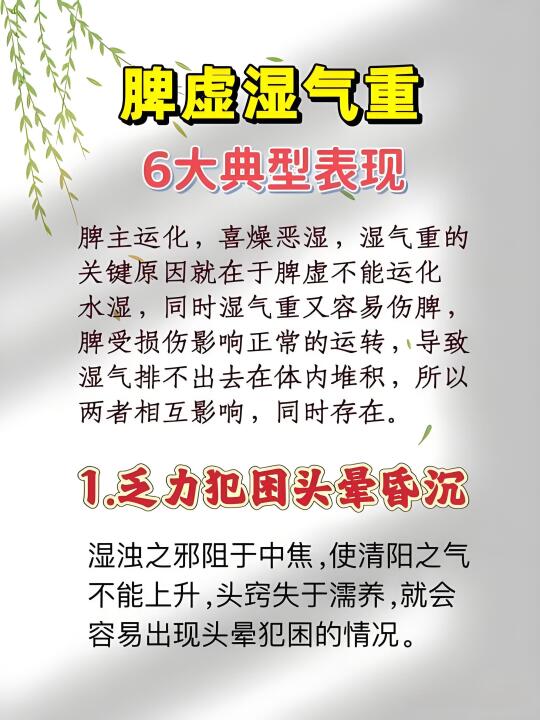 脾虚湿气重6大典型表现，你知道吗？