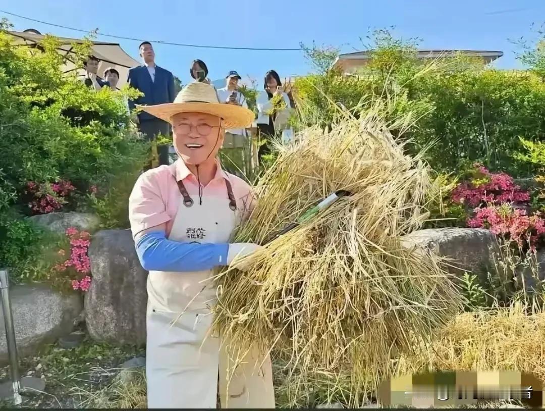 文在寅的生活太田园风了，自己种地，虽然不多，但是真的有种陶渊明的“采菊东篱下，悠