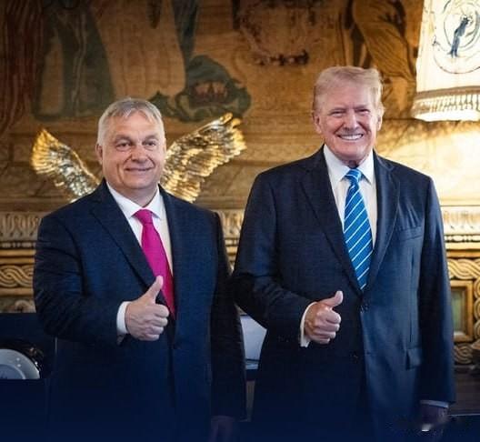 德媒：匈牙利否决了欧盟一年一度涉及乌克兰的扩容提案11月17日，德国之声报