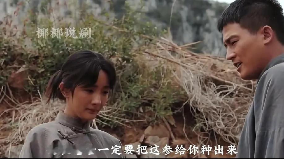 为啥《生万物》里大家不咋敢种丹参？其实细想真不是老辈思想转不过弯，全是现实里的坎