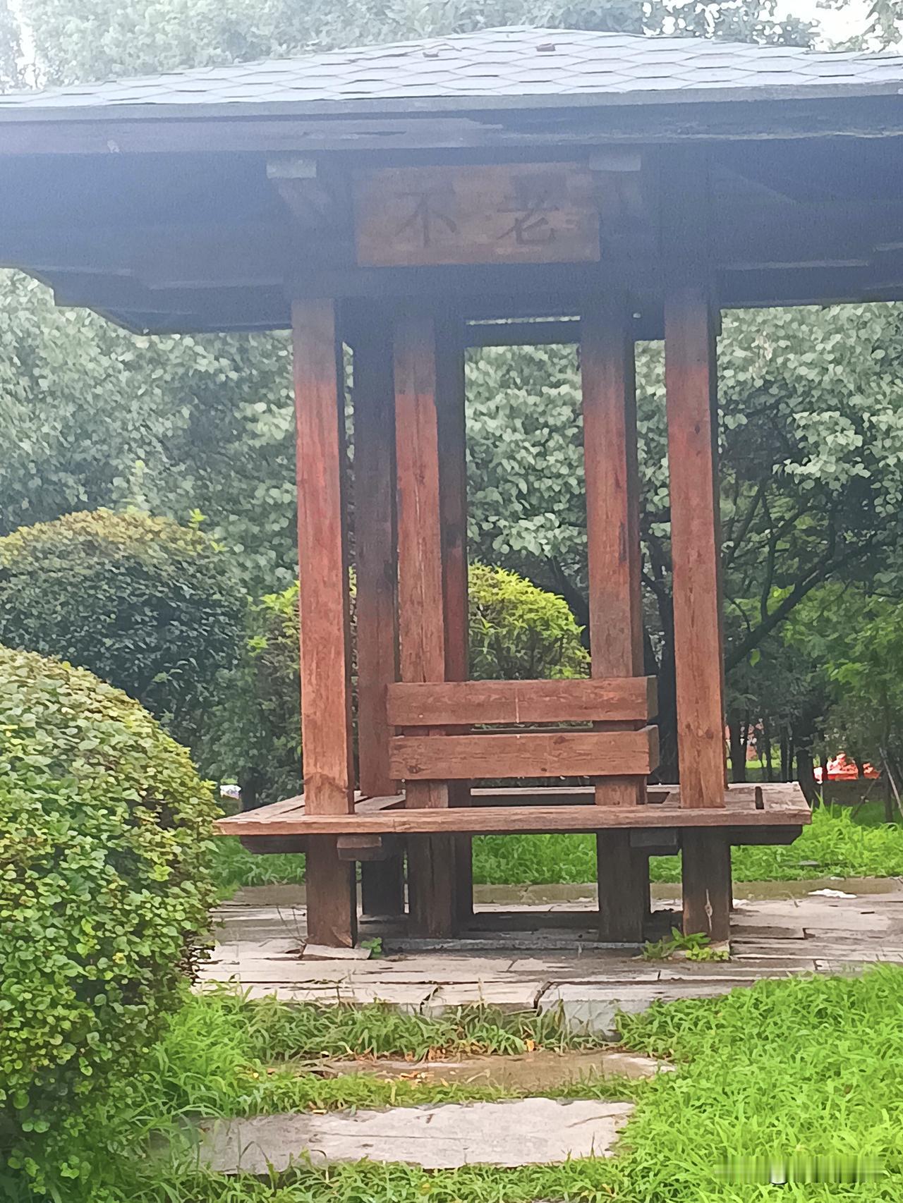 打卡沈阳莫子山公园不老亭人不老，花依旧。老生涯正要，东山歌酒。翠壁撑空山玉立